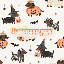 Load image into Gallery viewer, Bailey - mto Halloween✨🧙🕷️
